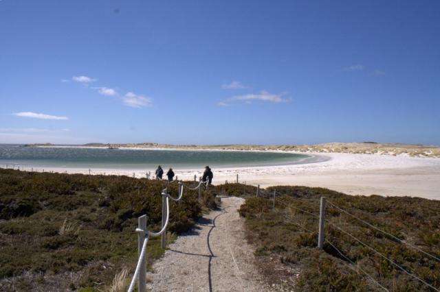 IMG 0502