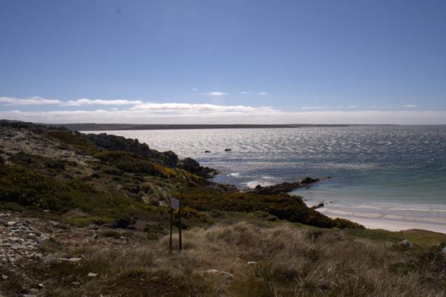 IMG 0505