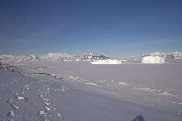 Sea ice 