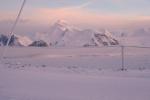 IMG_1424.jpg