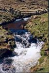 river coquet at barrowburn.jpg